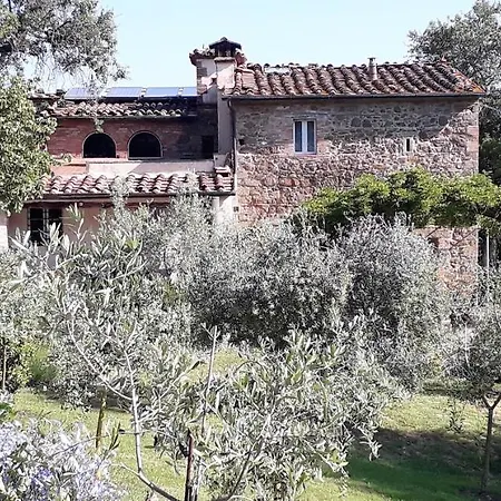 Timignano