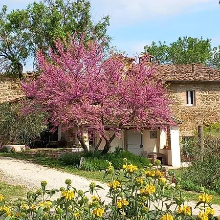 Timignano Apartment