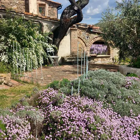 Appartement Timignano *